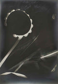 man ray round ball Art A4 Photo Print
