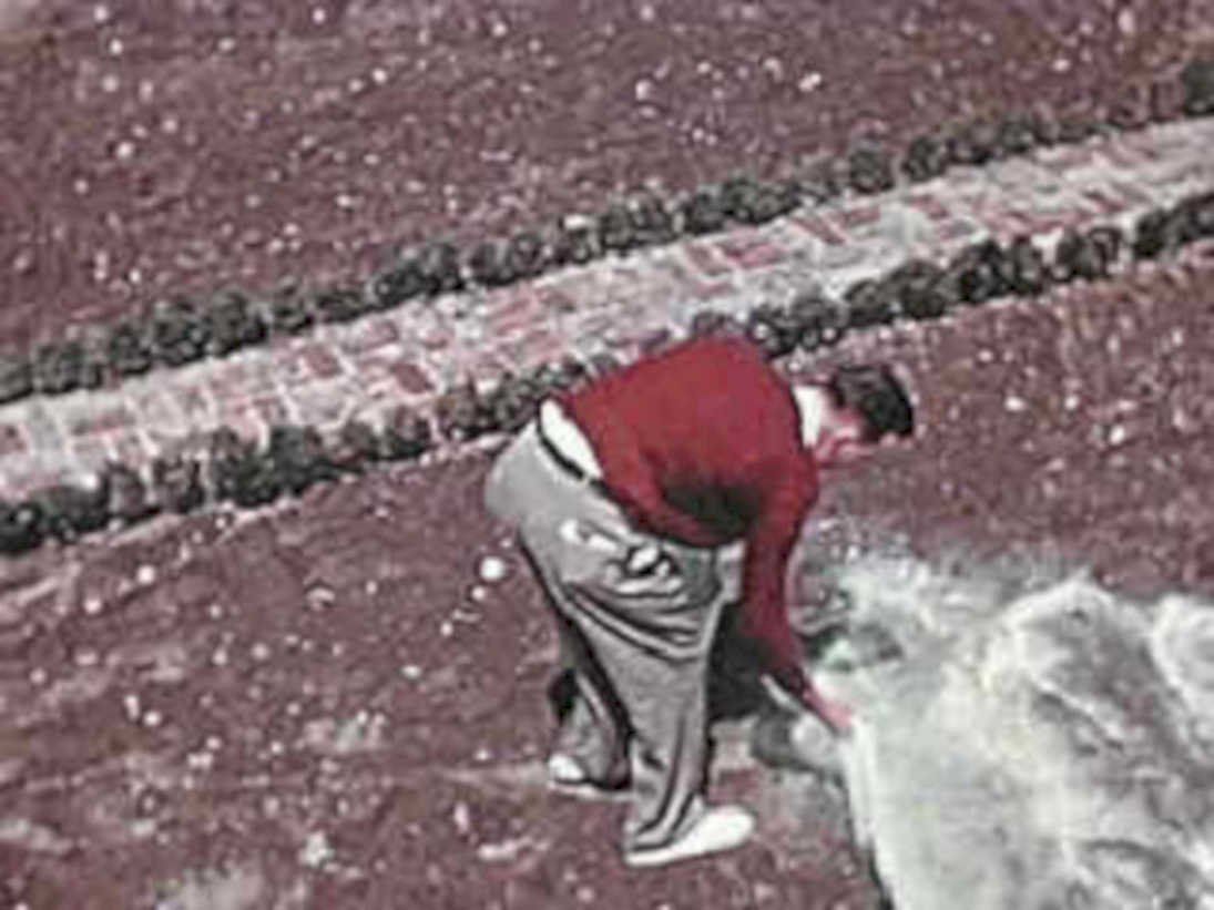 man trash bag1980s 1990s A4 Photo Print