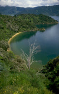 manapouri lake hills 1980s 1990s A4 Photo Print