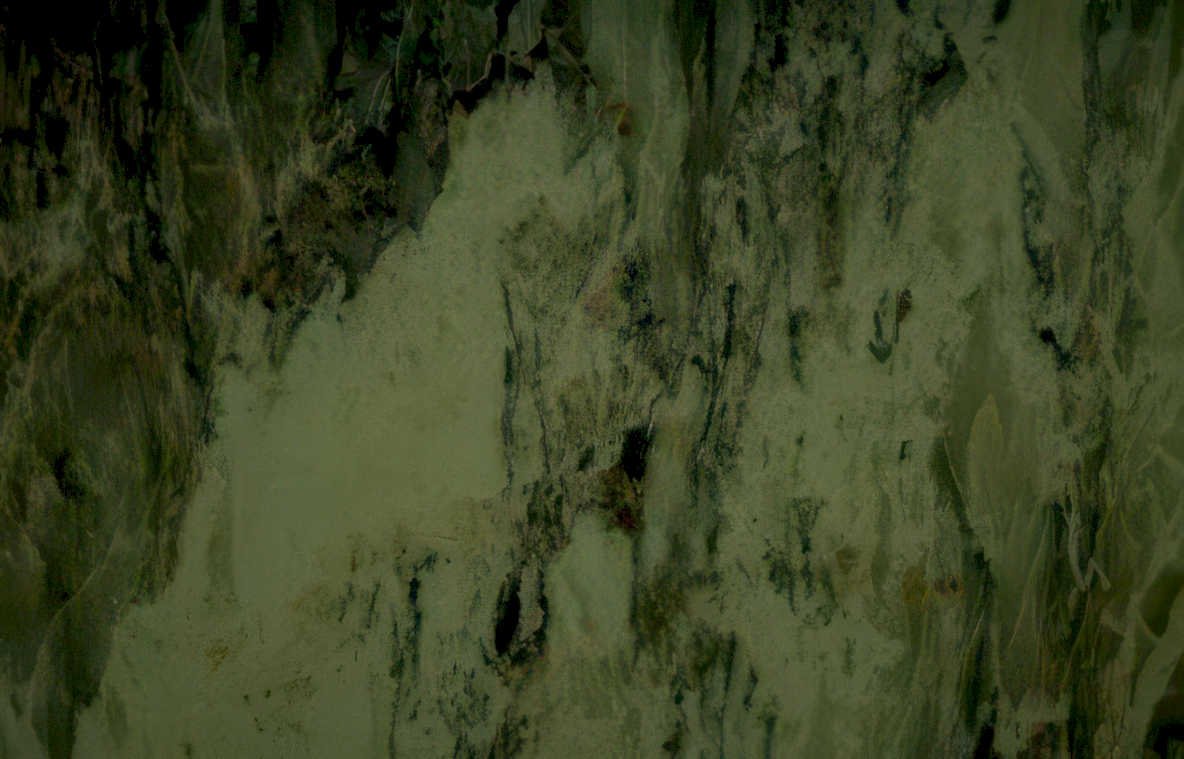 marble countertop veins 2 Vintage A4 Photo Print