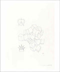 man ray untitled9 Art A4 Photo Print