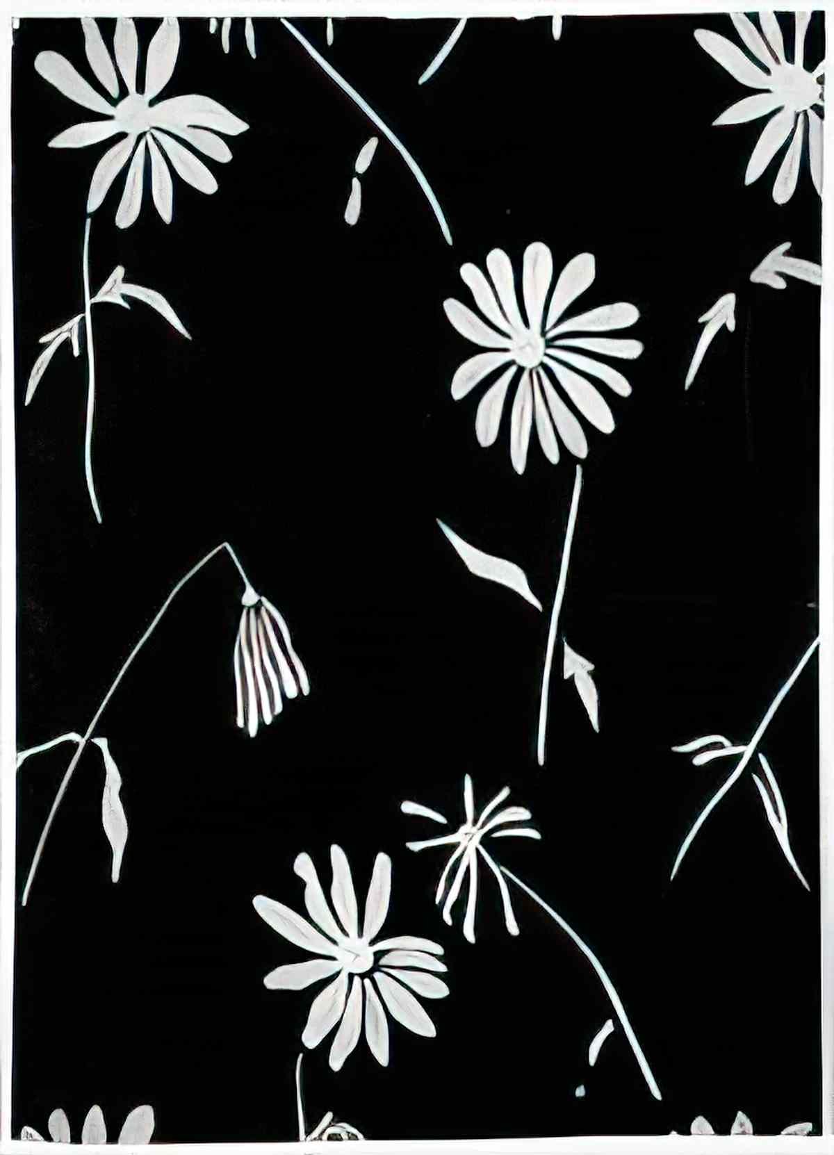 man ray voila Art A4 Photo Print