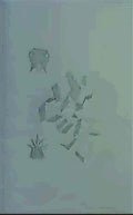 marcel duchamp a poster within a poster wanted $2000 reward Art A4 Photo Print
