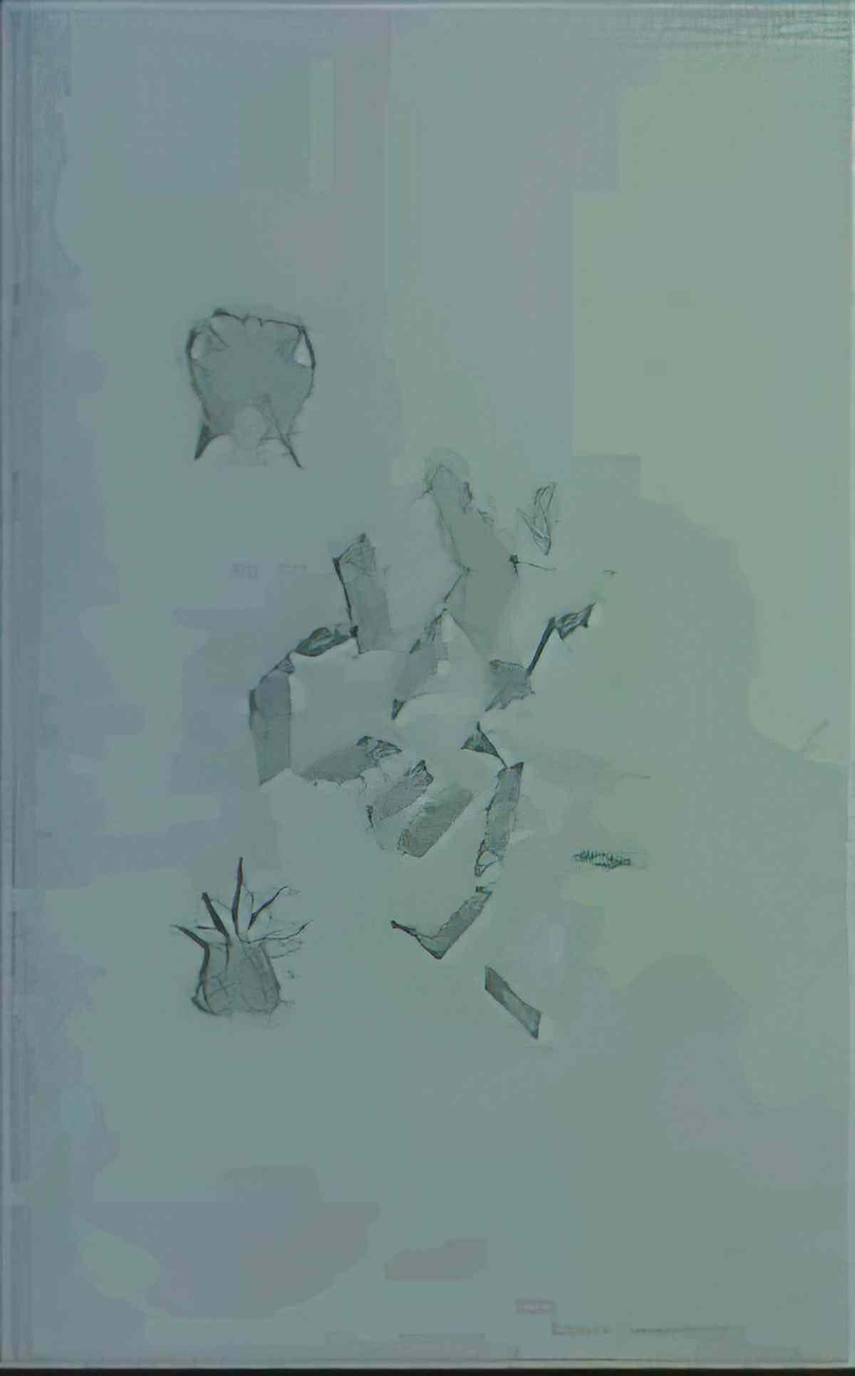 marcel duchamp a poster within a poster wanted $2000 reward Art A4 Photo Print