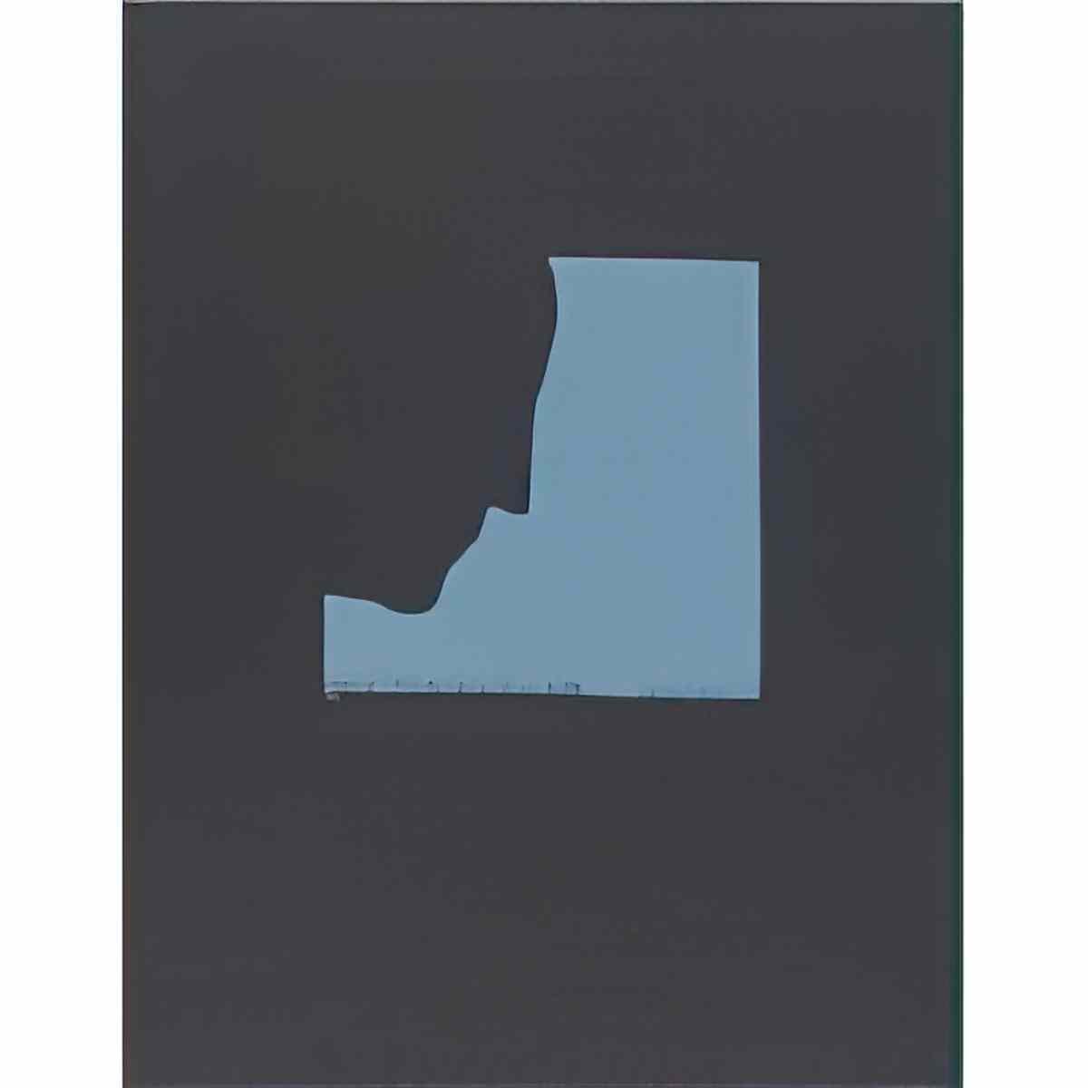 marcel duchamp la mariee mise a nu par ses celibataires meme1 Art A4 Photo Print