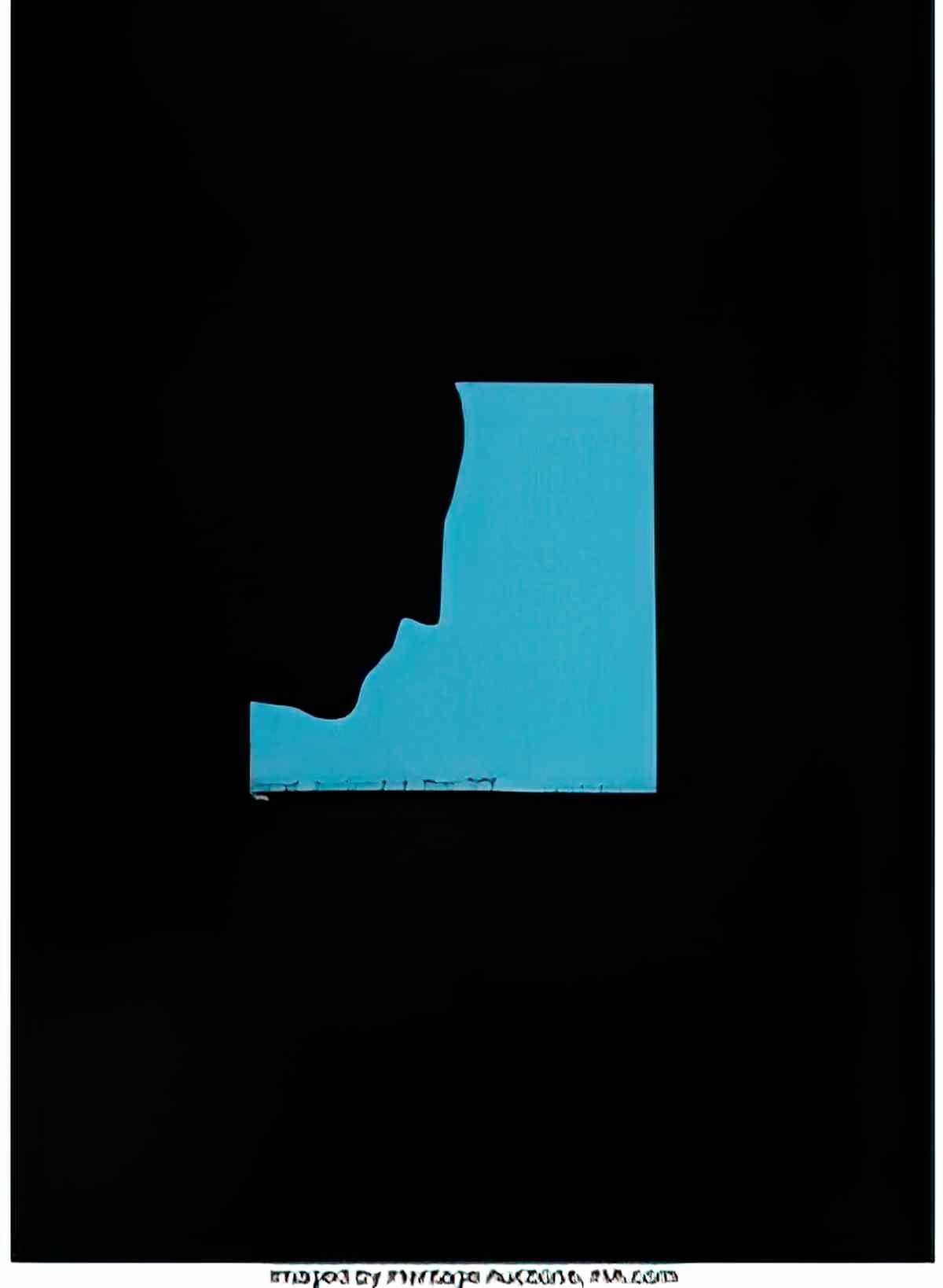 marcel duchamp la mariee mise a nu2 Art A4 Photo Print