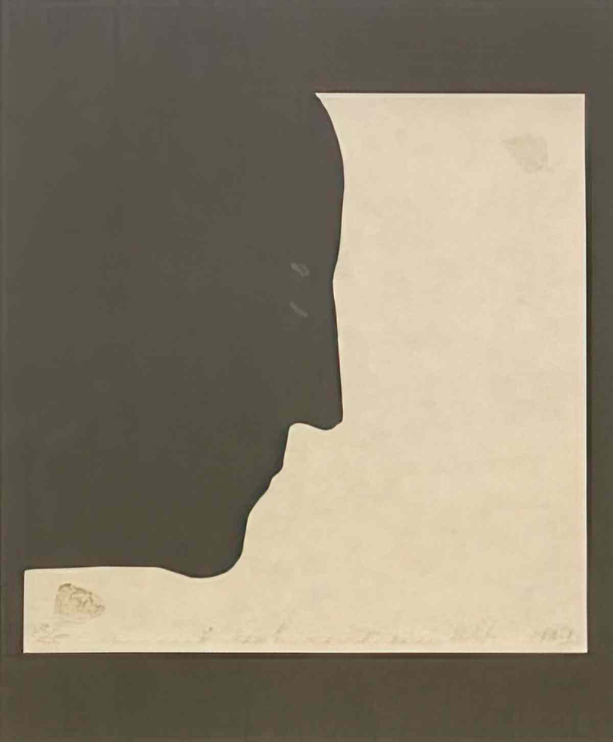 marcel duchamp la sposa particolare del grande vetro Art A4 Photo Print