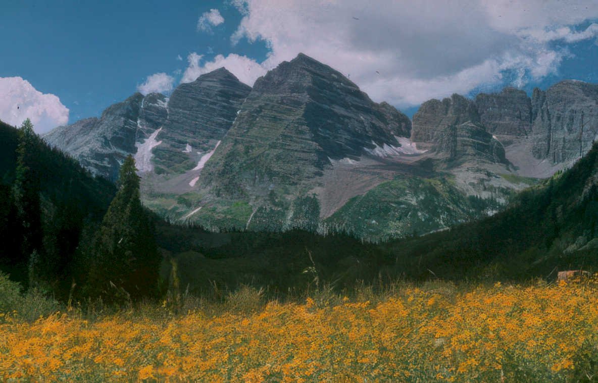 maroon bells wildflowers Vintage A4 Photo Print