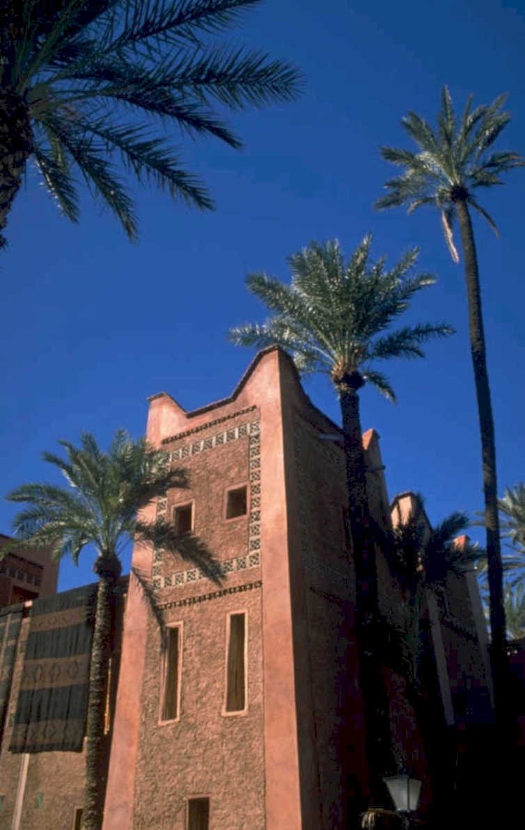 marrakech redbuilding palmtrees 1980s 1990s A4 Photo Print