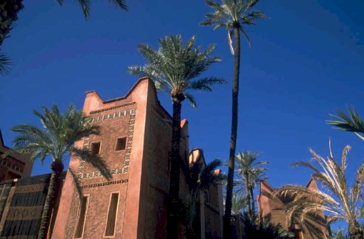 marrakesh palm court 1980s 1990s A4 Photo Print