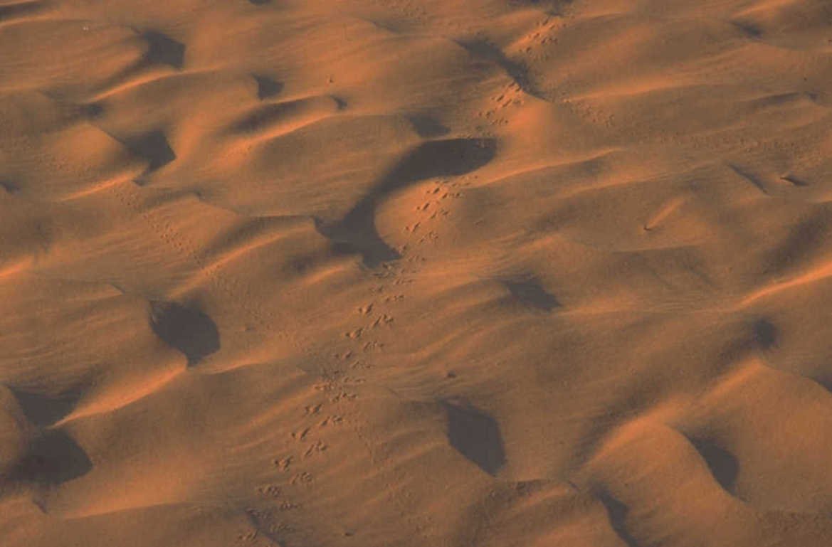 mars dune footprints 1980s 1990s A4 Photo Print