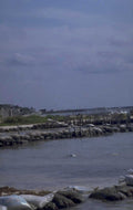 marshland gray sky 1980s 1990s A4 Photo Print