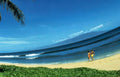 maui beach walk Vintage A4 Photo Print