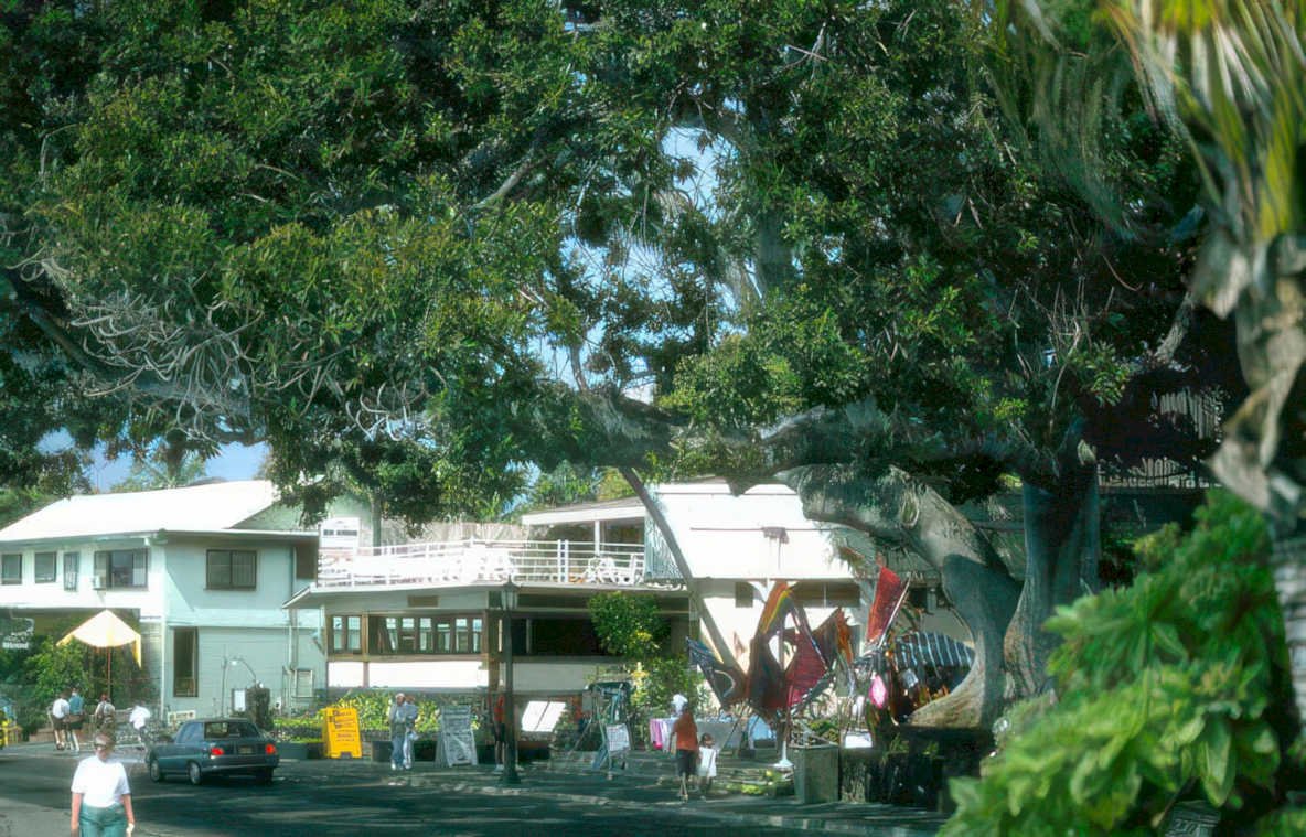maui cafe happy Vintage A4 Photo Print