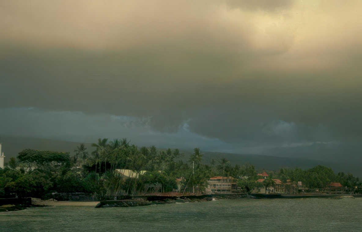 maui coastline palm Vintage A4 Photo Print