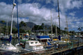 maui harbor boats 1980s 1990s A4 Photo Print