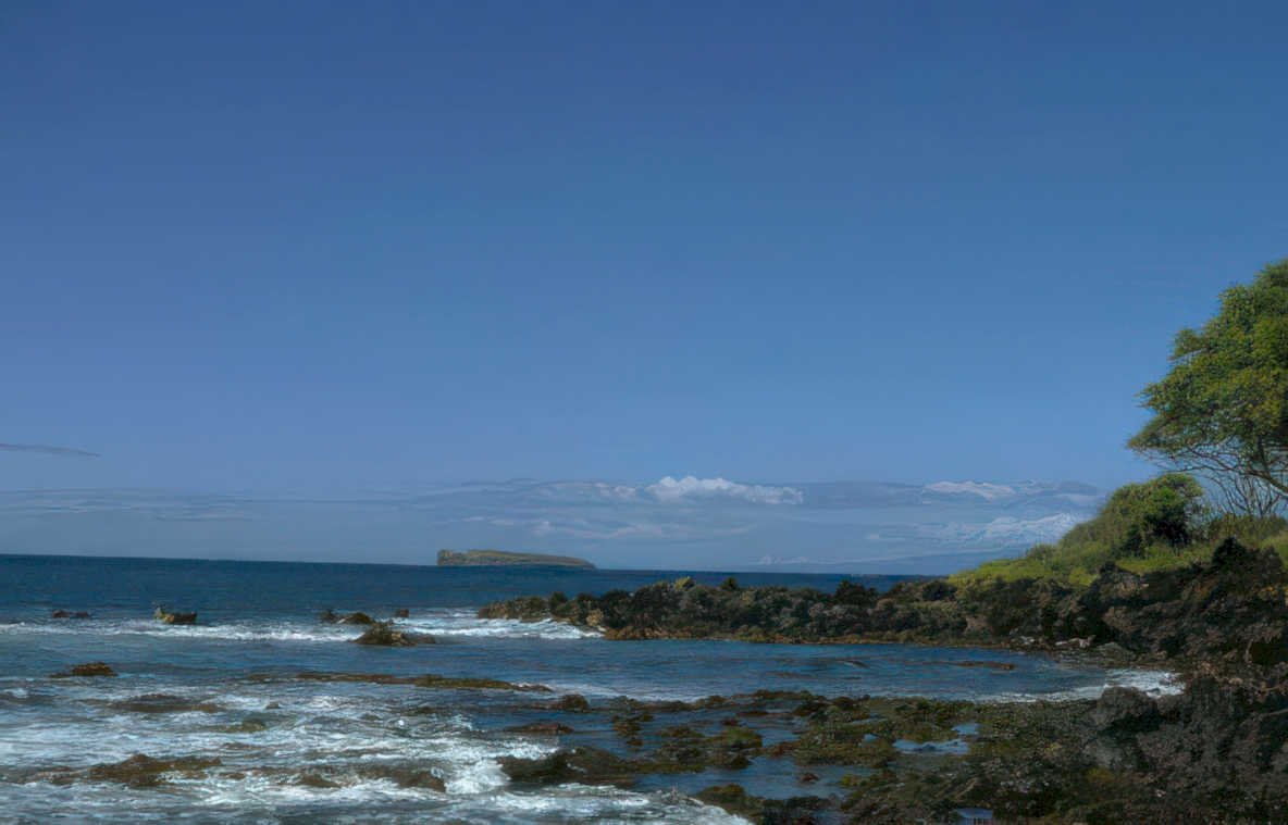 maui ocean rocks Vintage A4 Photo Print
