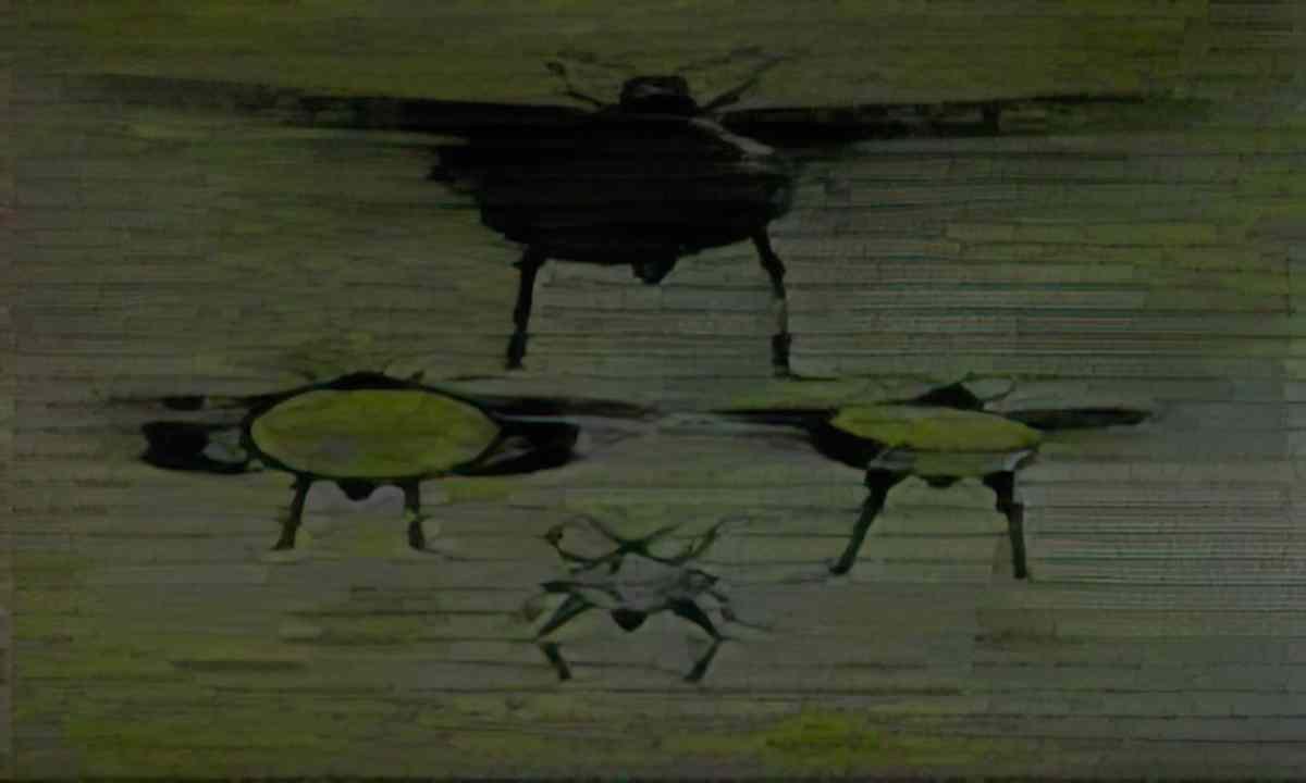 max ernst beatles2 Art A4 Photo Print
