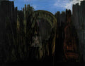 max ernst cage foret et soleil noir Art A4 Photo Print