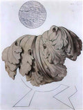 max ernst composition17 Art A4 Photo Print