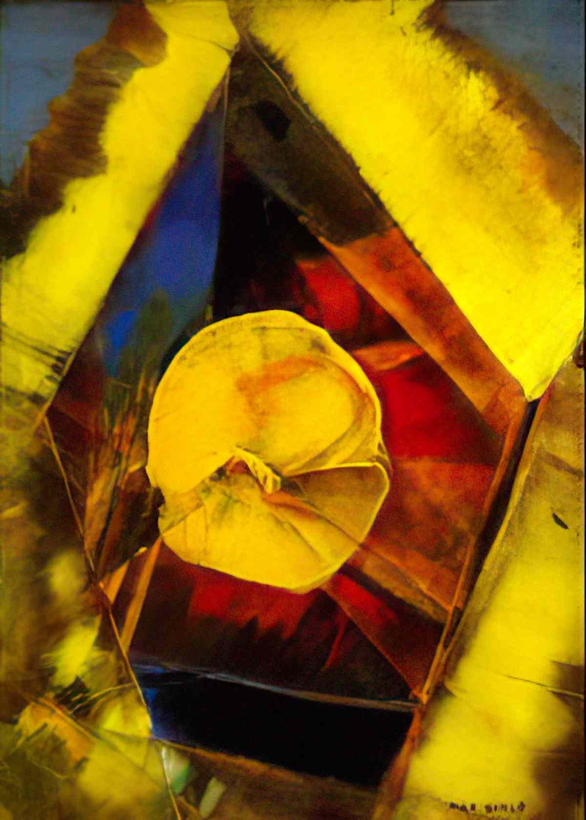 max ernst coquillage 1950 Art A4 Photo Print