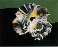 max ernst coquille fleurs Art A4 Photo Print