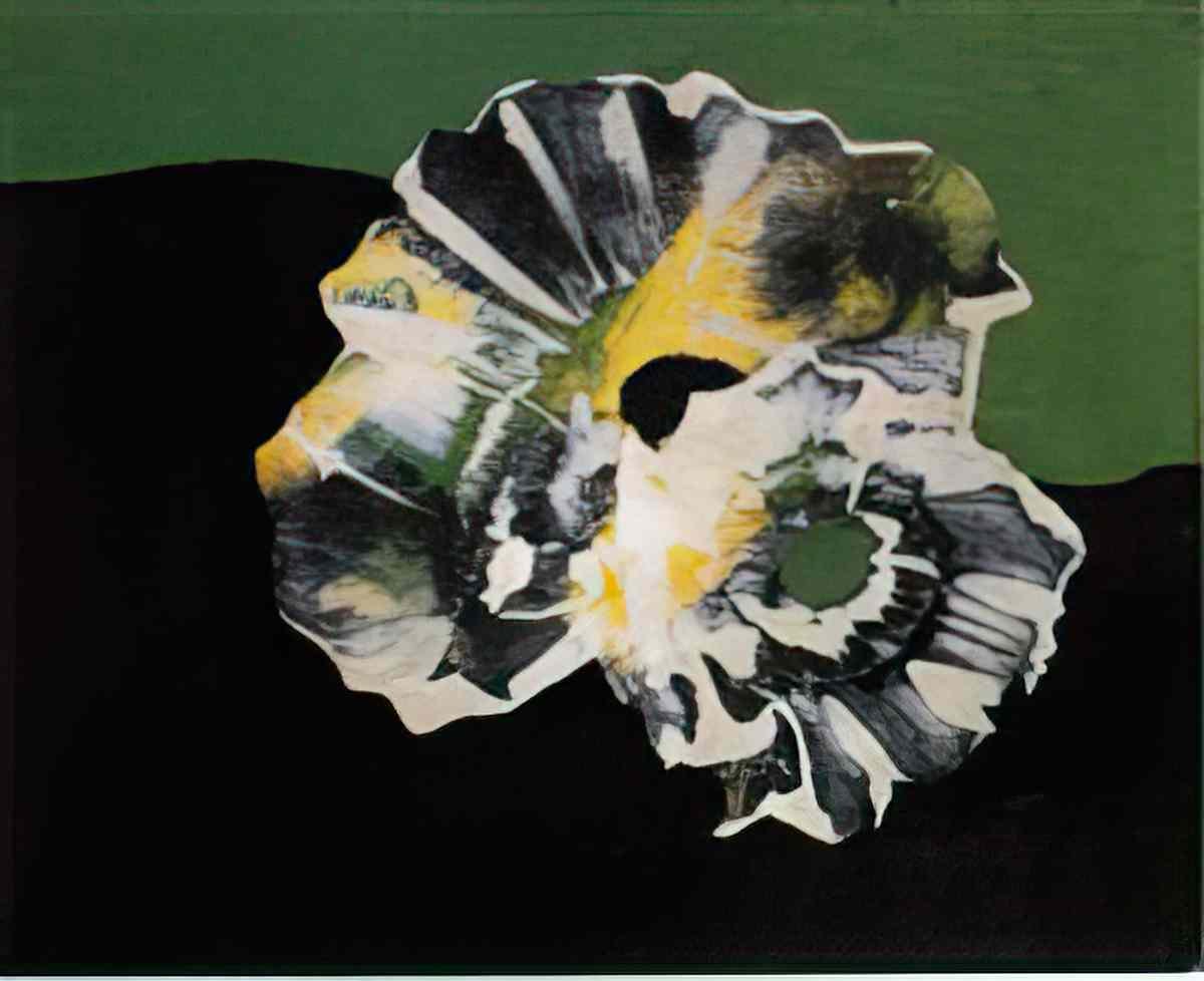 max ernst coquille fleurs Art A4 Photo Print