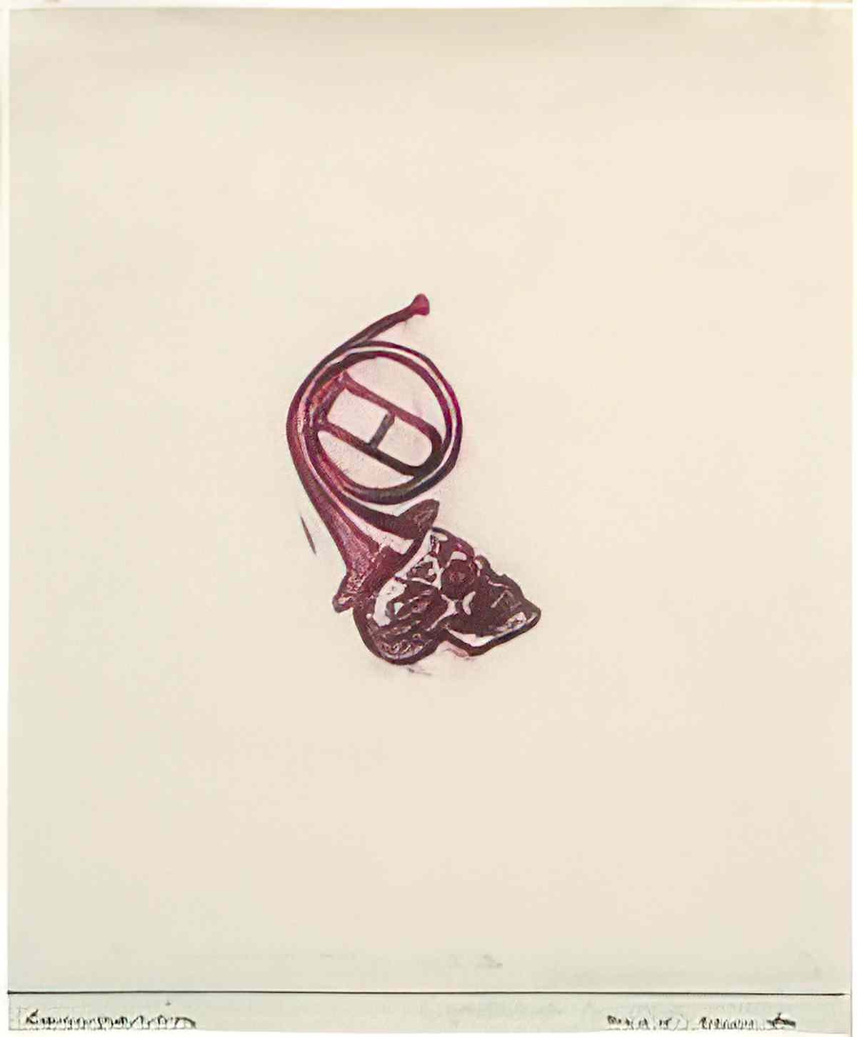max ernst couperin2 Art A4 Photo Print