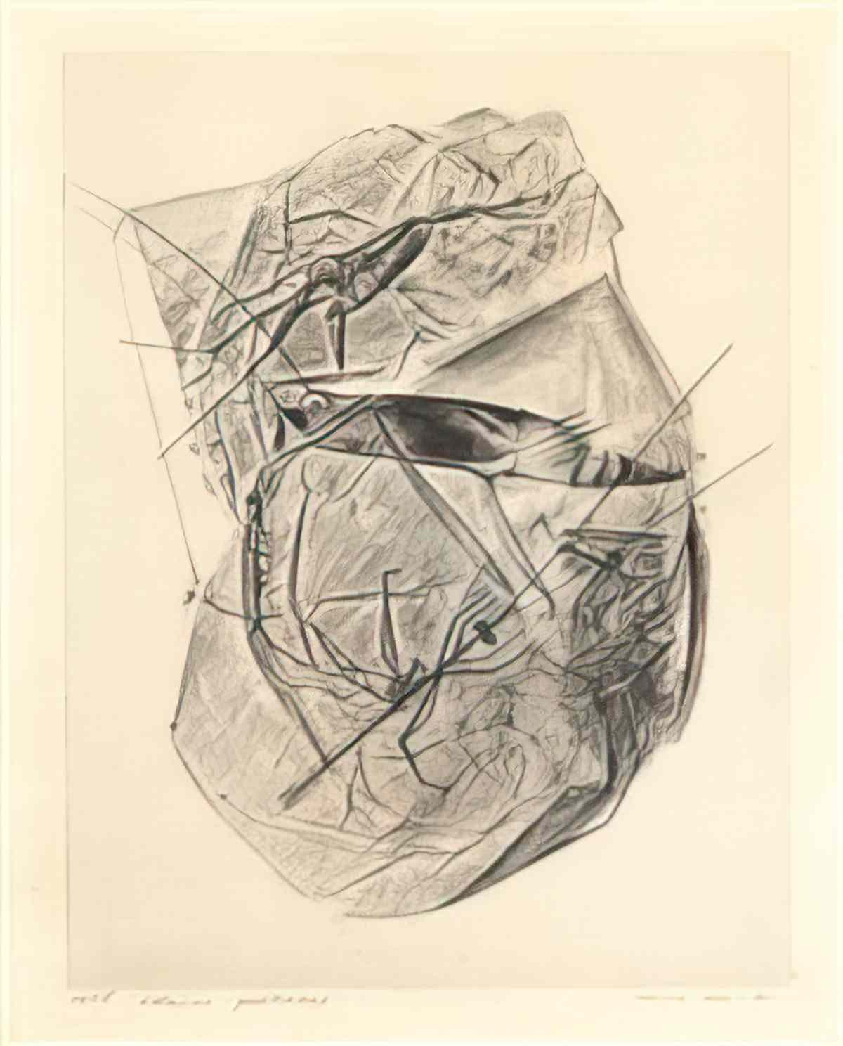 max ernst eclaires precoces Art A4 Photo Print