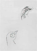 max ernst facile1 Art A4 Photo Print