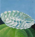 max ernst fleur coquillage Art A4 Photo Print