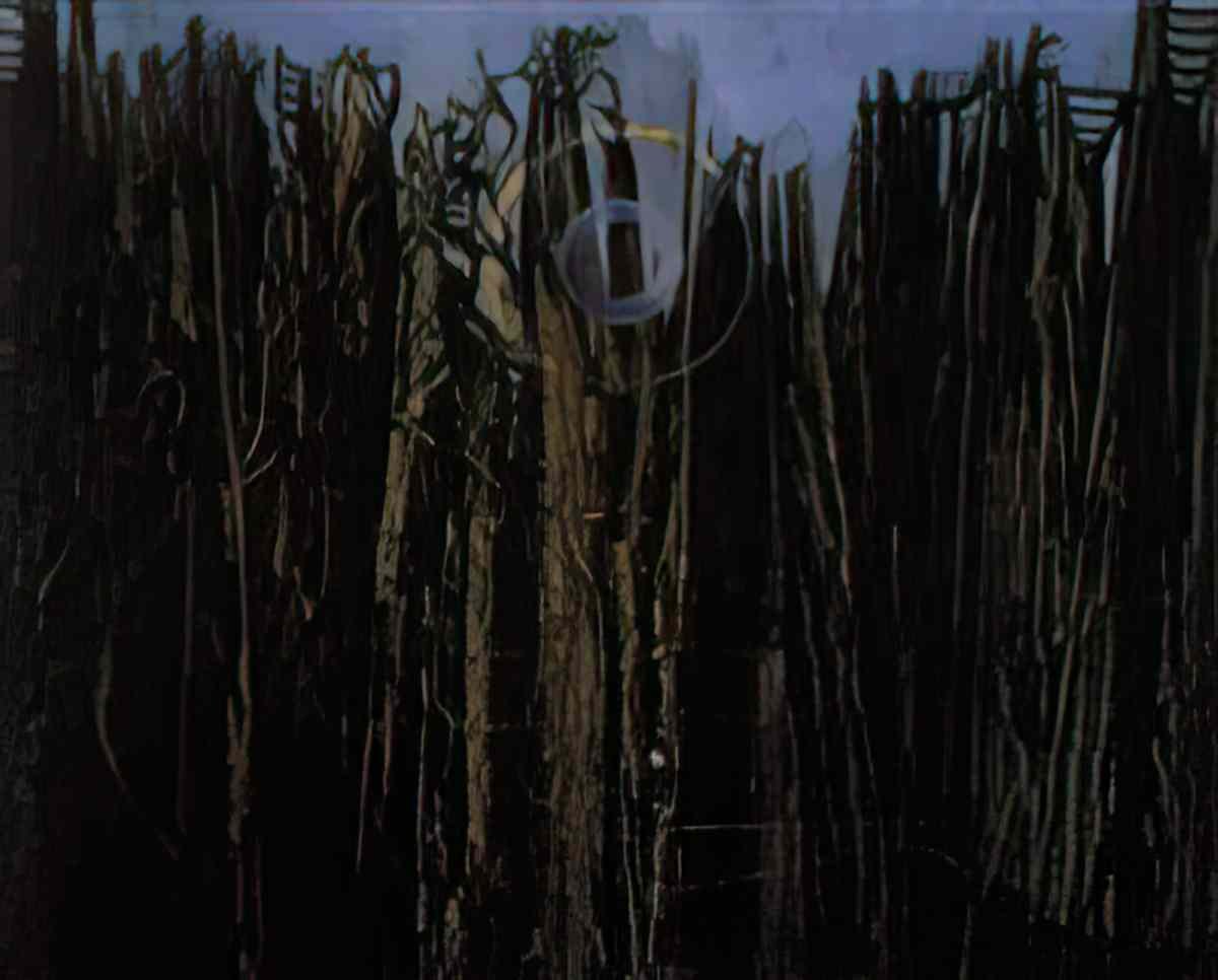max ernst foret soleil oiseaux Art A4 Photo Print