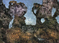 max ernst foret10 Art A4 Photo Print