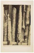 max ernst foret2 Art A4 Photo Print