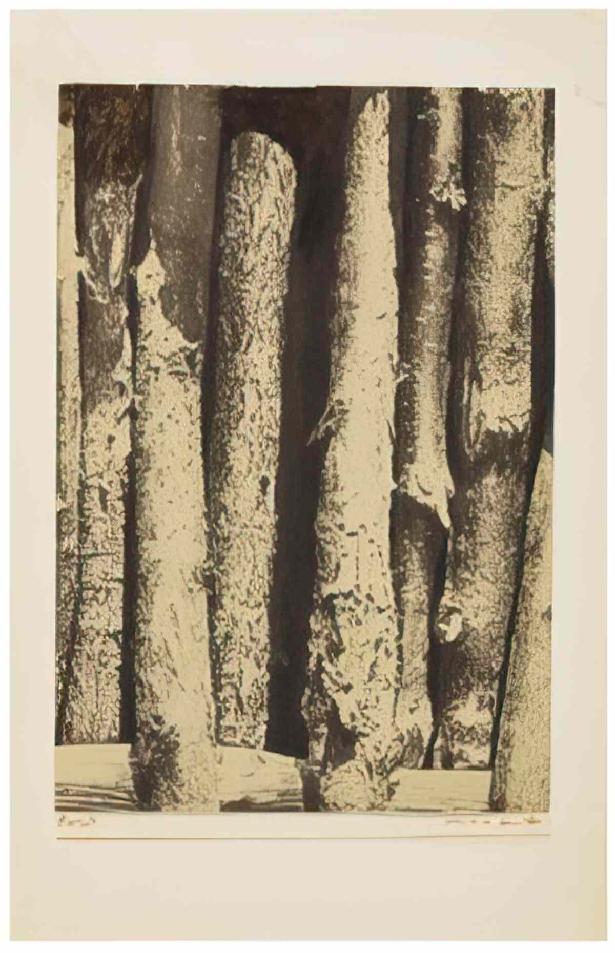 max ernst foret2 Art A4 Photo Print
