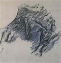 max ernst frottage5 Art A4 Photo Print