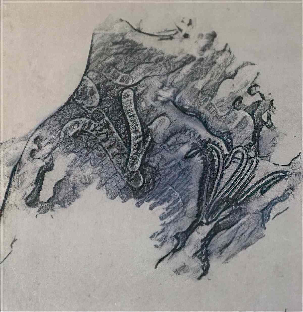 max ernst frottage5 Art A4 Photo Print