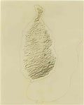 max ernst fruit Art A4 Photo Print
