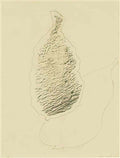 max ernst fruit1 Art A4 Photo Print