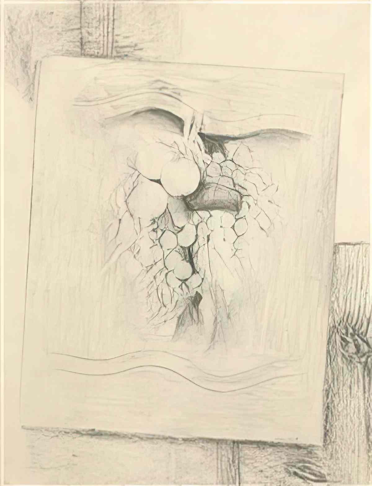 max ernst fruits Art A4 Photo Print