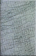 max ernst il pleut dans le var Art A4 Photo Print