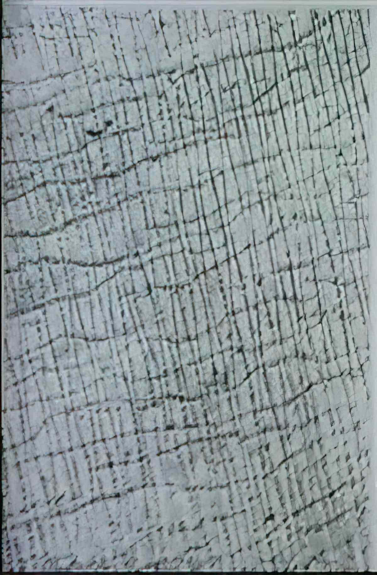 max ernst il pleut dans le var Art A4 Photo Print