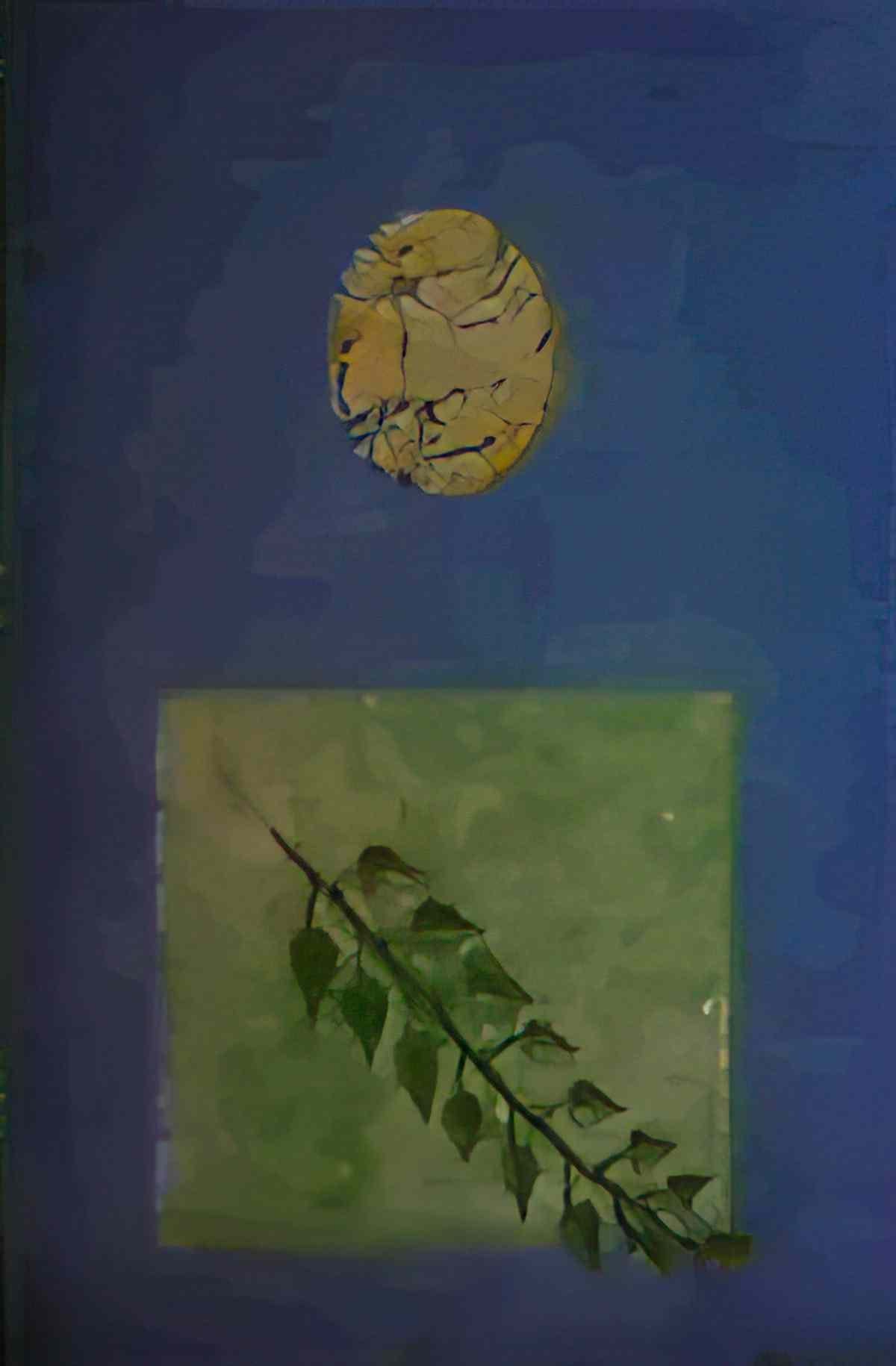 max ernst la feuille 1963 Art A4 Photo Print