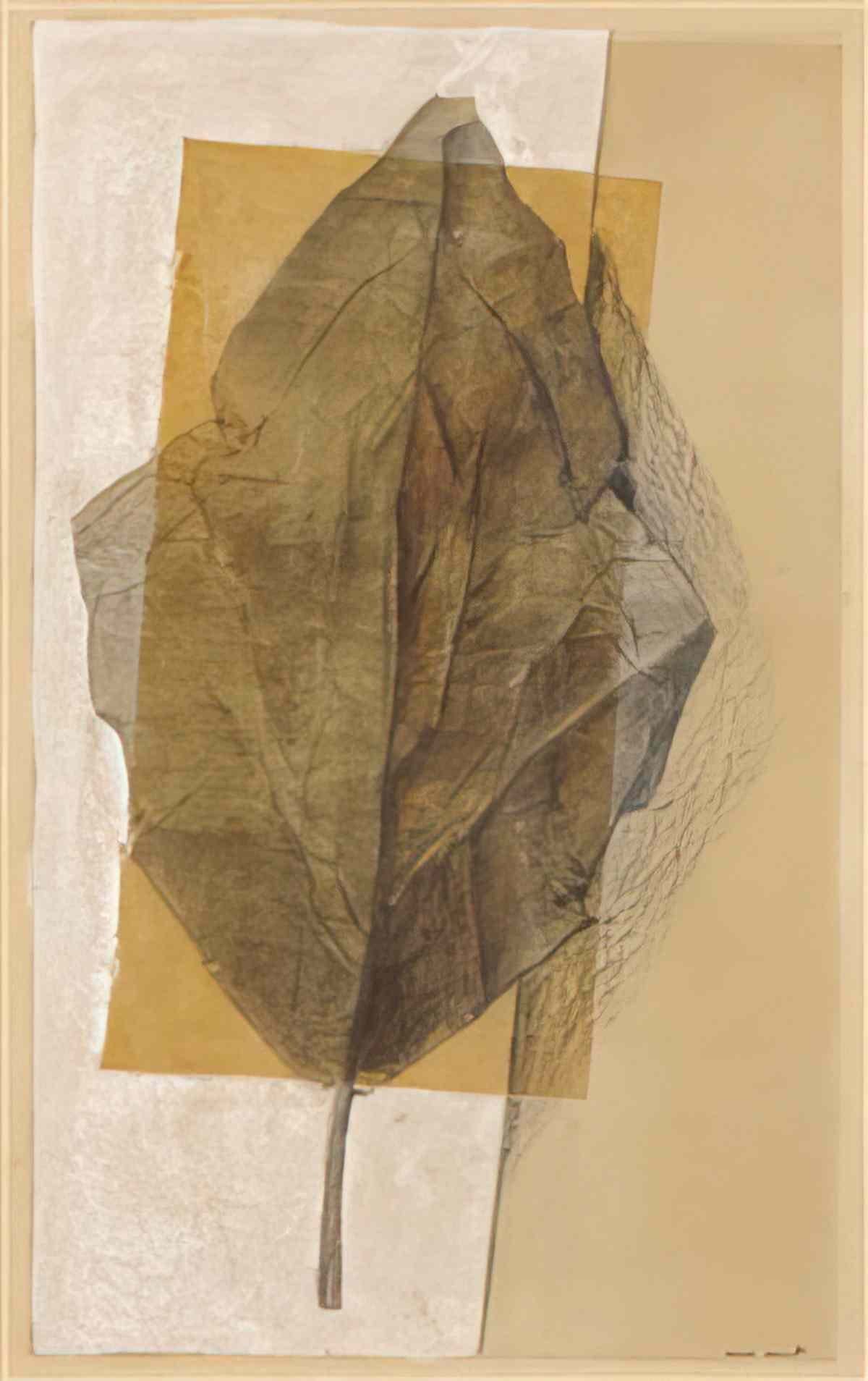 max ernst la feuille Art A4 Photo Print