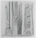 max ernst la foret est une planche Art A4 Photo Print