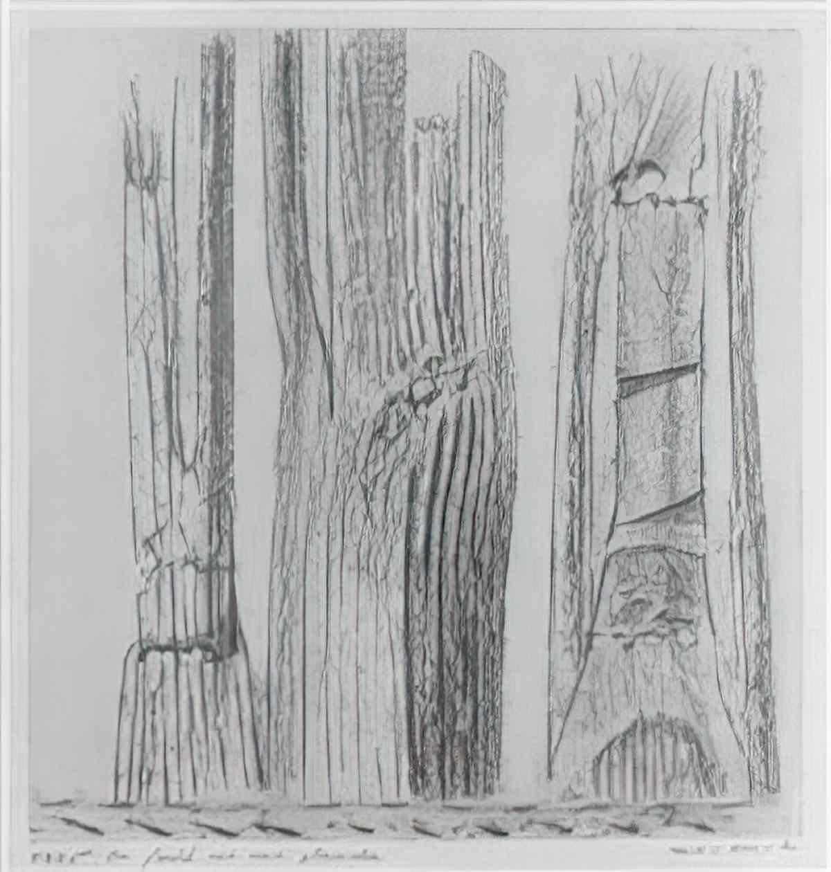 max ernst la foret est une planche Art A4 Photo Print