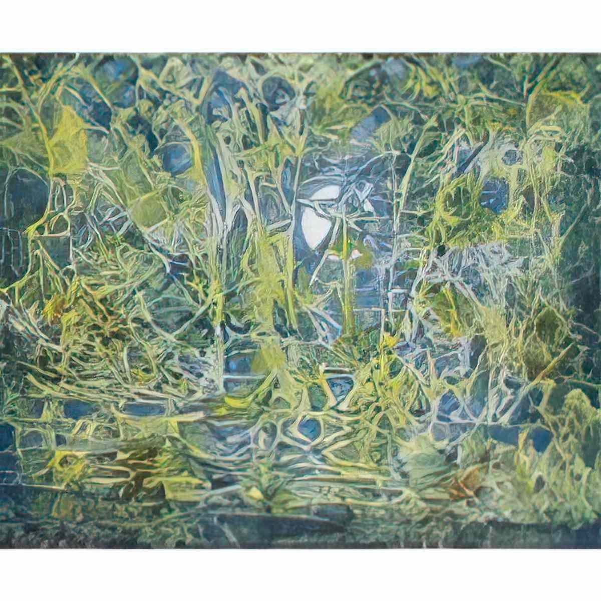 max ernst la mare aux grenouilles1 Art A4 Photo Print