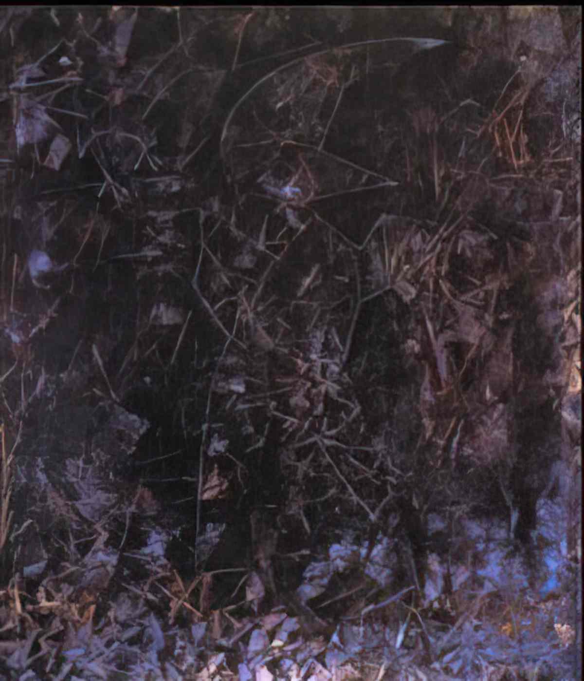 max ernst la parole est au corbeau Art A4 Photo Print