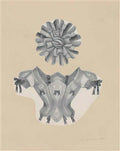 max ernst le rire des poetes seite 33 Art A4 Photo Print
