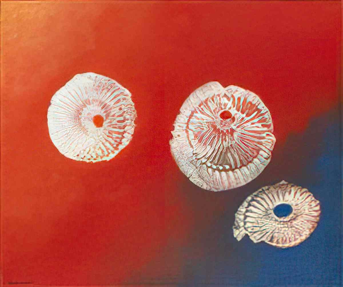 max ernst les amanites Art A4 Photo Print